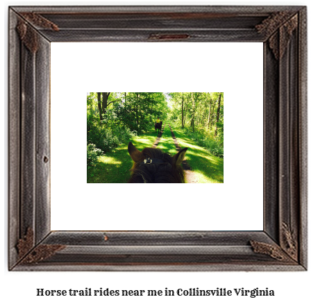 horse trail rides near me in Collinsville, Virginia